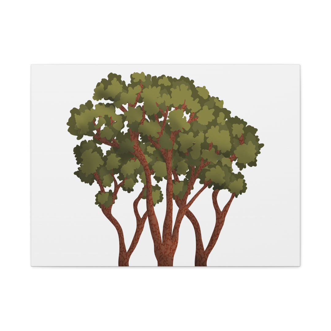 Pacific Madrone Canvas Print – Wall Art