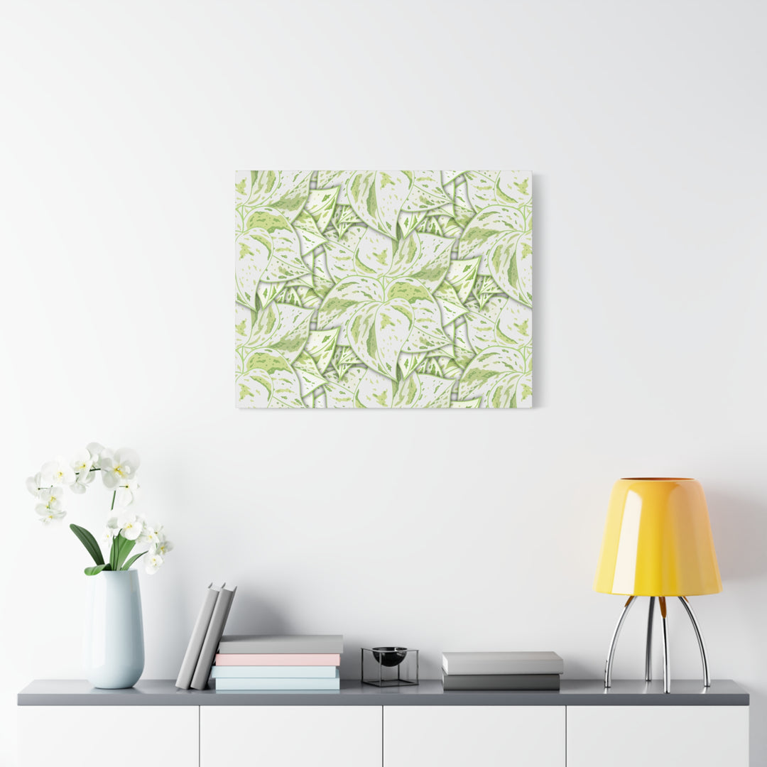 Snow Queen Pothos Canvas Print With Variegated White Leaves In Matte Finish For Modern Home Decor