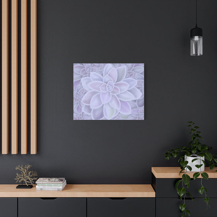 Graptopetalum Murasaki Succulent Canvas Art Print Pastel Purple Rosette Indoor Plant Decor