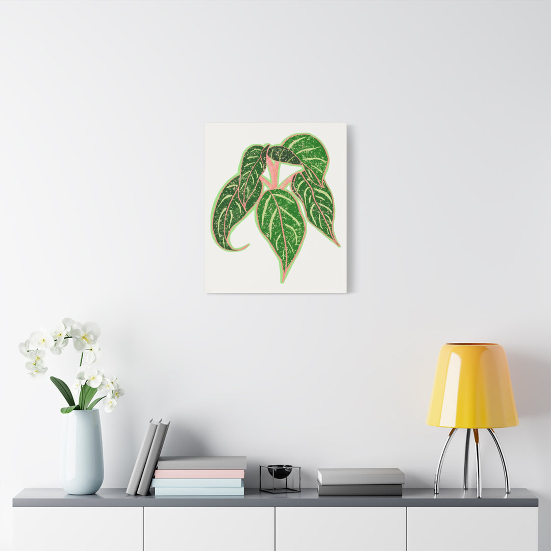 Aglaonema Sparkling Sarah Botanical Canvas Print On Matte Stretch Canvas For Modern Living Room Decor