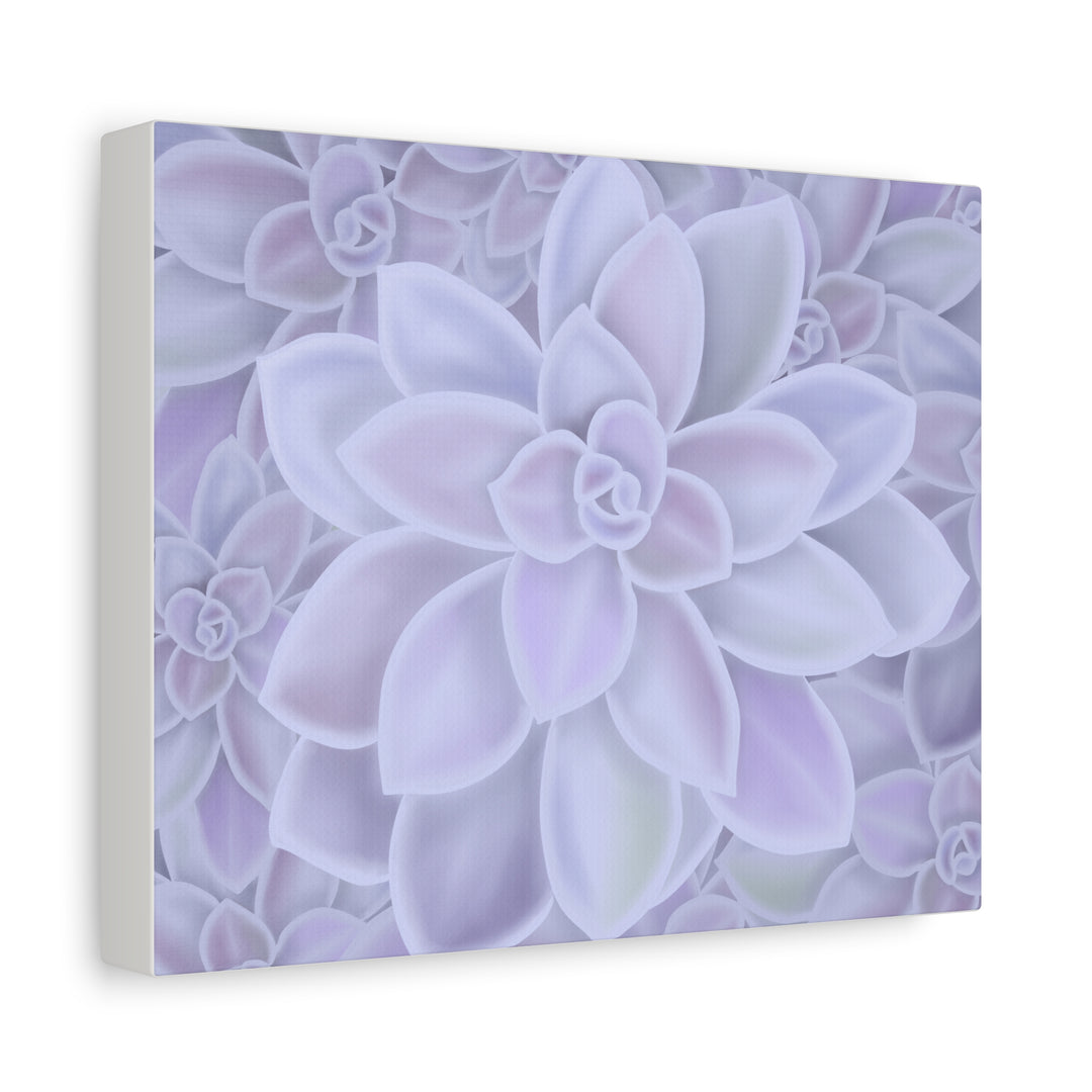 Graptopetalum Murasaki Succulent Canvas Art Print Pastel Purple Rosette Indoor Plant Decor