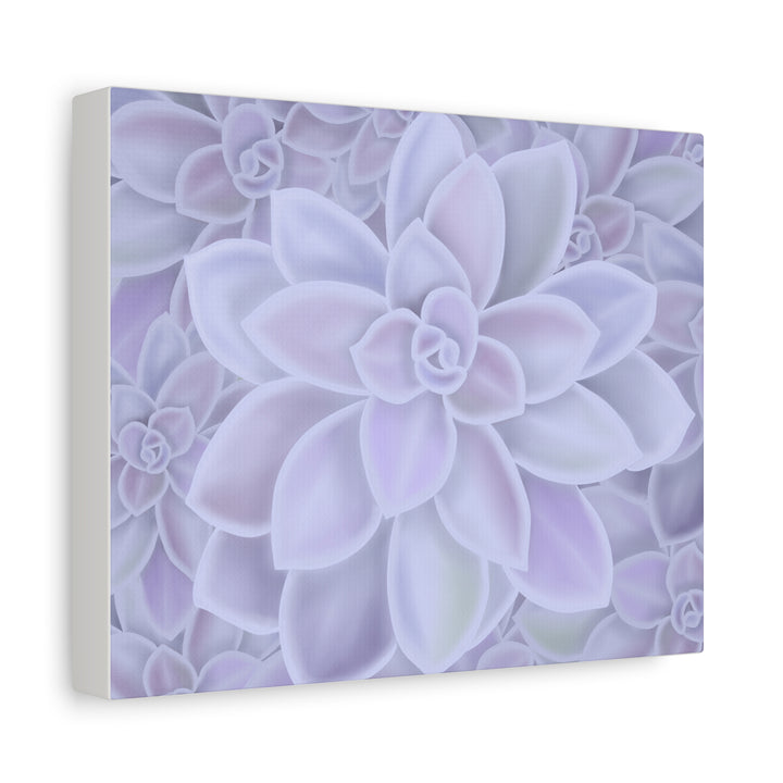 Graptopetalum Murasaki Succulent Canvas Art Print Pastel Purple Rosette Indoor Plant Decor