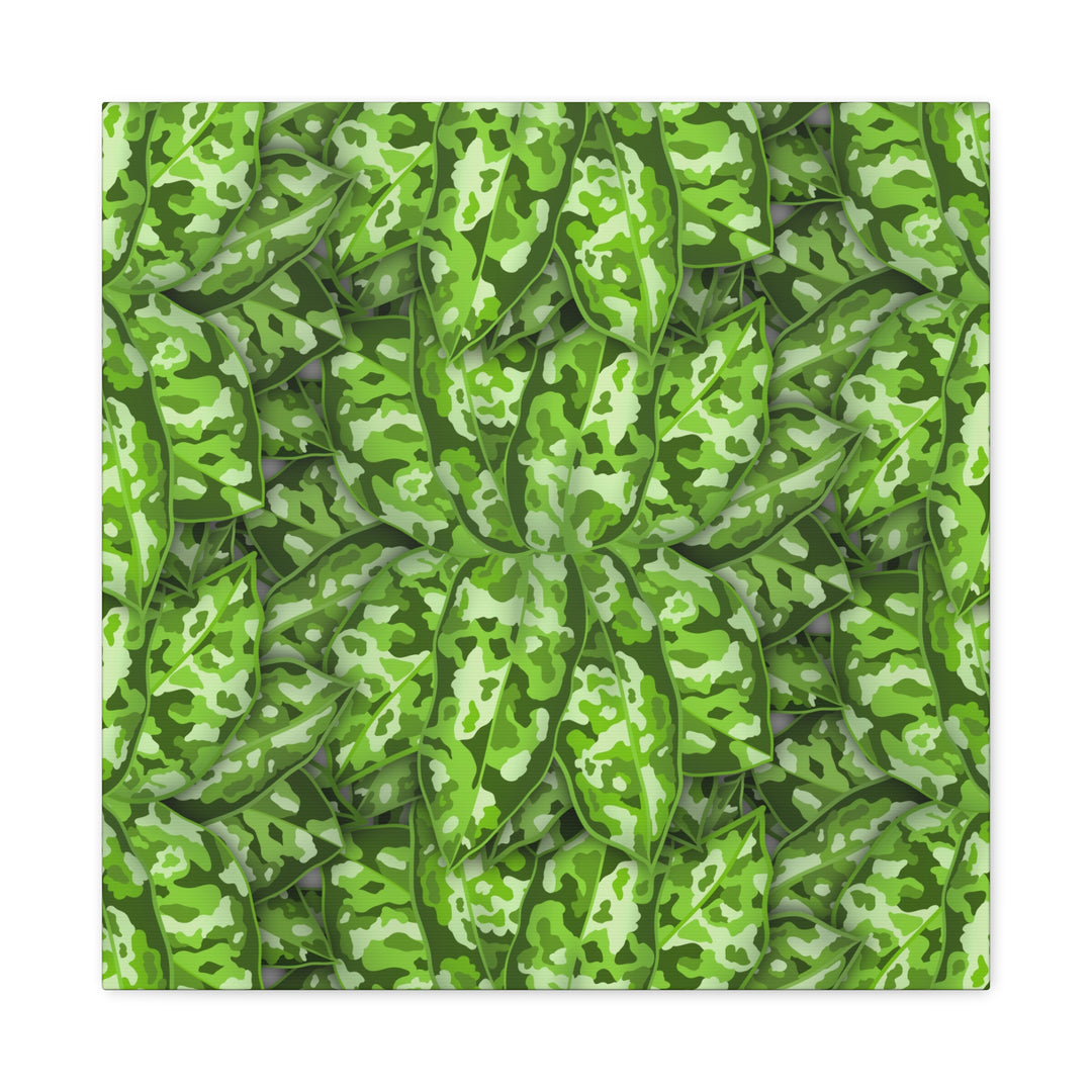 Aglaonema Pictum Canvas Wall Art Rare Plant Print Matte Finish For Modern Home Decor