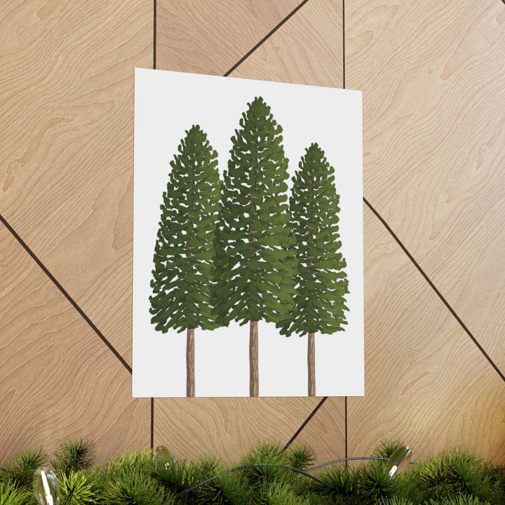 Ponderosa Pine Print – Unframed Wall Art