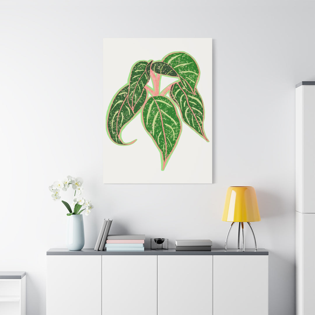 Aglaonema Sparkling Sarah Botanical Canvas Print On Matte Stretch Canvas For Modern Living Room Decor