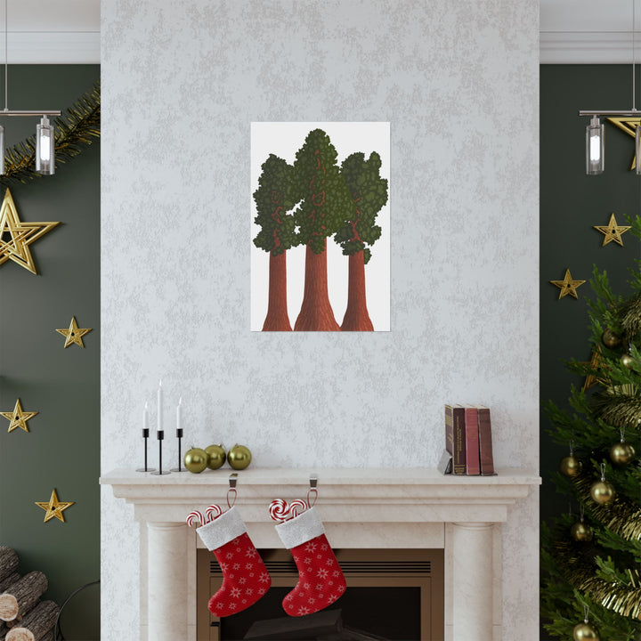 Giant Sequoias Print – Unframed Wall Art