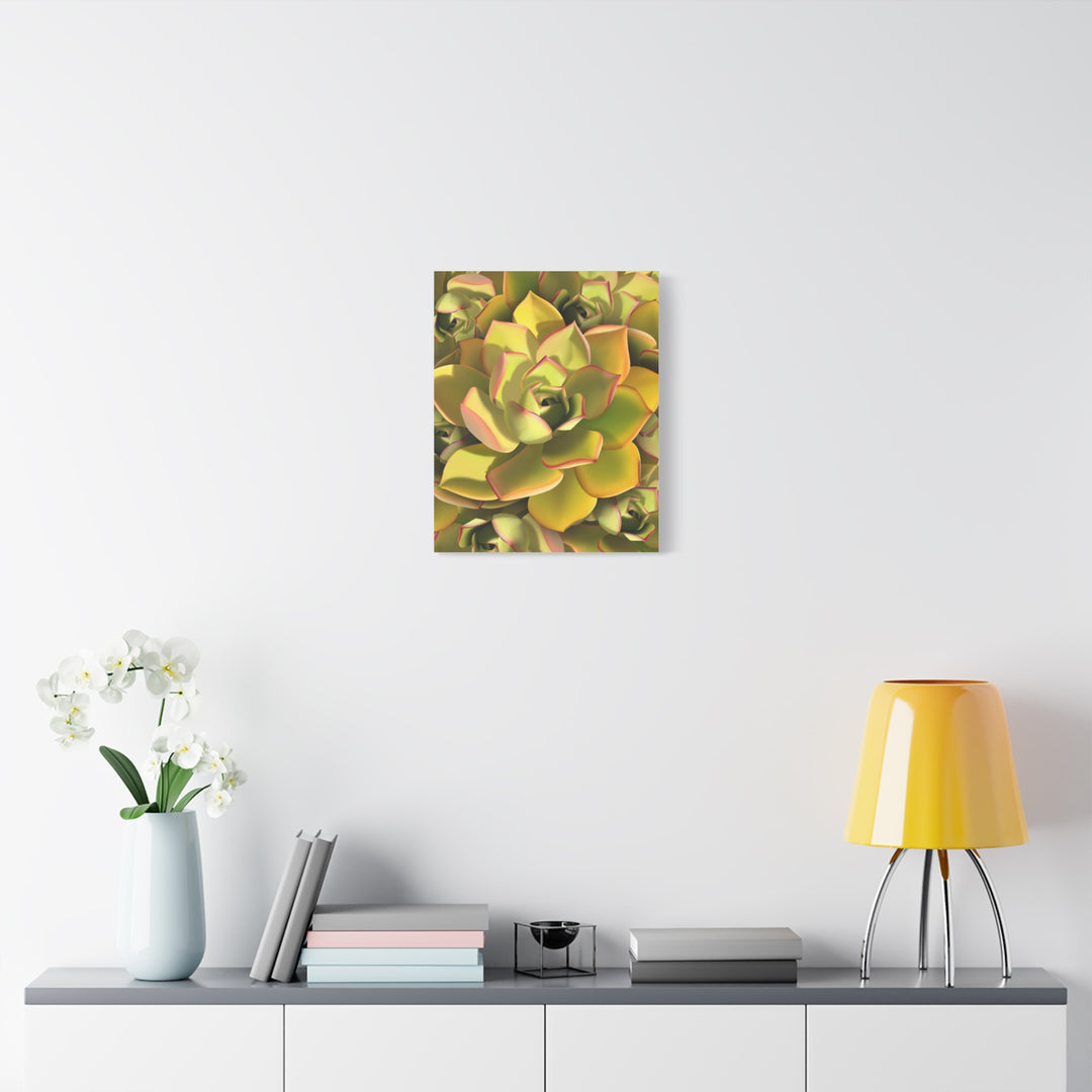 Succulent Canvas Art Vibrant Aeonium Print On Matte Canvas Wall Decor 12x18 Inches Indoor Home