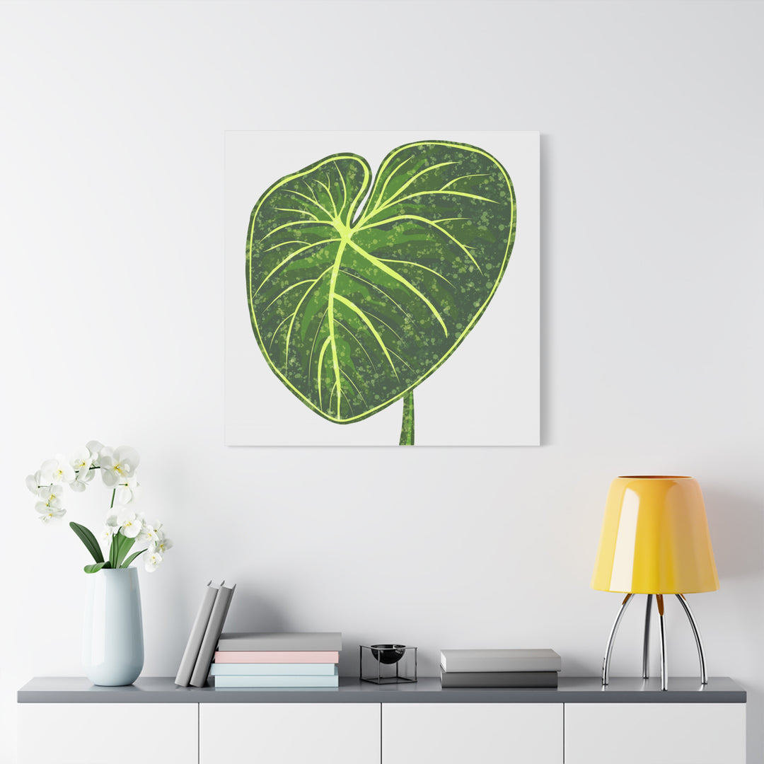 Philodendron Gloriosum Canvas Print Stretched Wall Art Botanical Leaf Print Matte Finish Gallery Wrapped Canvas