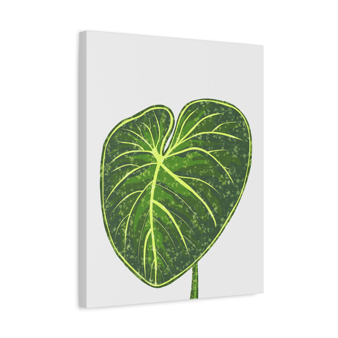 Philodendron Gloriosum Canvas Print Stretched Wall Art Botanical Leaf Print Matte Finish Gallery Wrapped Canvas