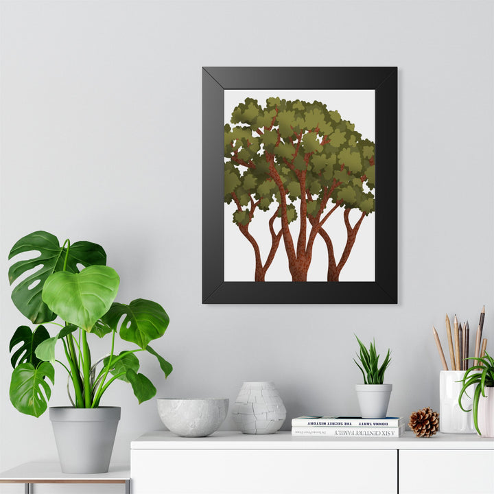 Pacific Madrone Framed Print – Wall Art
