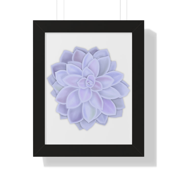 Graptopetalum Murasaki Succulent Framed Print – Botanical Wall Art