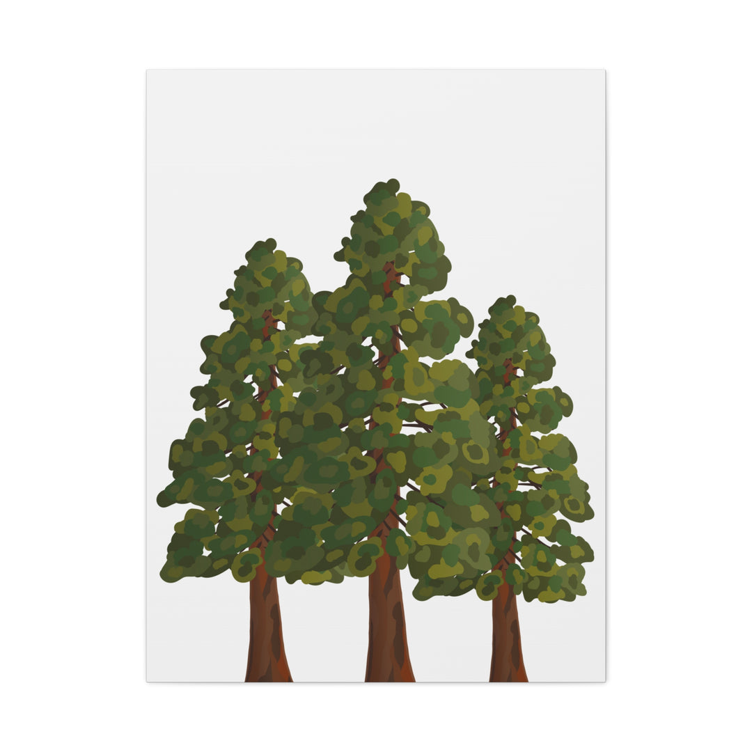 Coastal Redwoods Matte Canvas Print On 1.25 Inch Stretched Canvas For Serene Forest Wall Art In Living Rooms