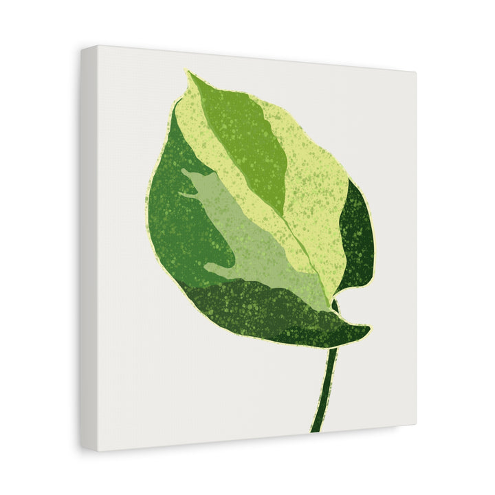 Manjula Pothos Botanical Canvas Print Matte Finish Stretched Canvas Wall Art 1.25 Inch Depth