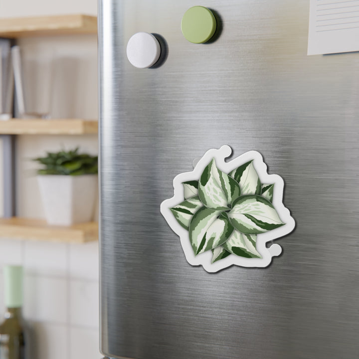 Manjula Pothos Magnet