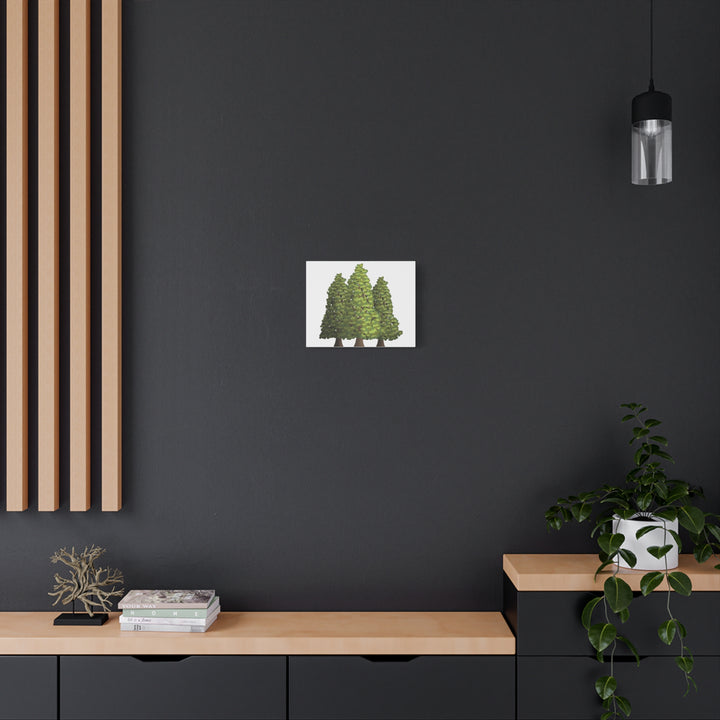 Incense Cedar Canvas Print – Wall Art