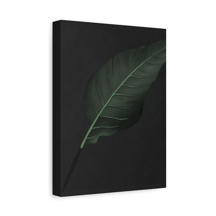 Bird of Paradise Canvas Print – Botanical Wall Art