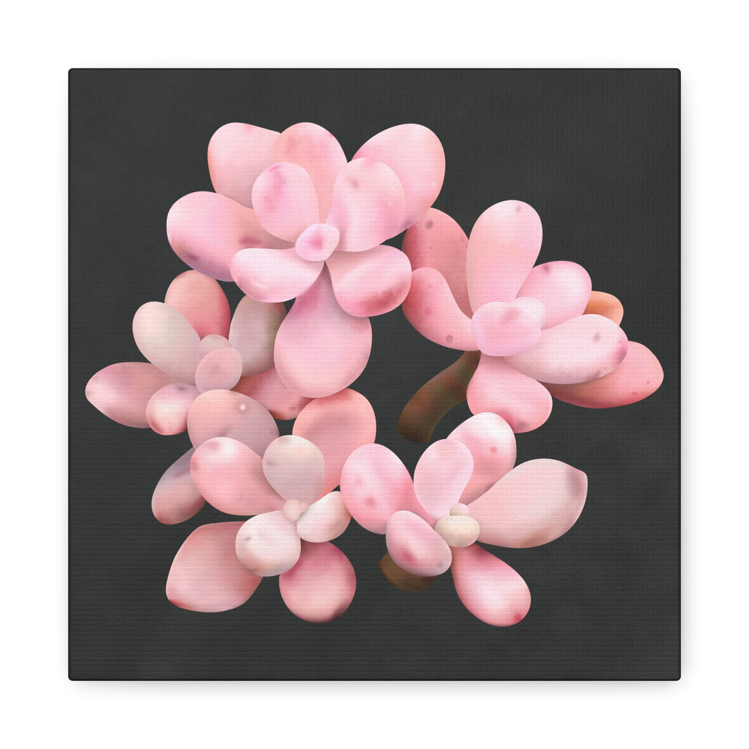 Pink Moonstone Canvas Print – Botanical Wall Art