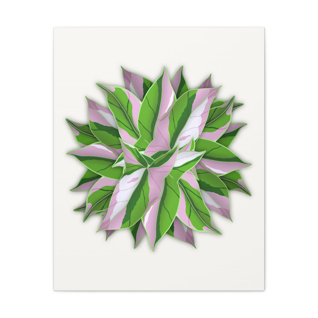 Syngonium Tricolor Canvas Print – Botanical Wall Art - The Potted Pixel