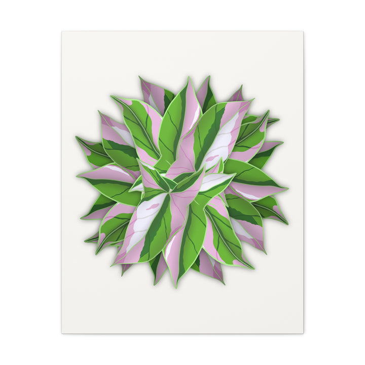 Syngonium Tricolor Canvas Print – Botanical Wall Art - The Potted Pixel