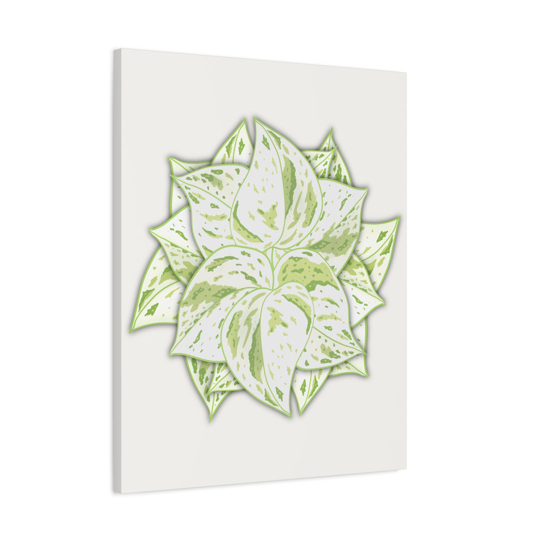 Snow Queen Pothos Canvas Wall Art Variegated Indoor Plant Leaf Poster Print Cotton Canvas