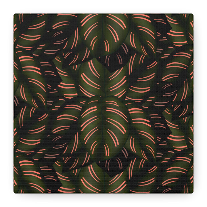 Calathea Pinstripe Canvas Print With Matte Finish Stretched Botanical Wall Art For Living Room Decor