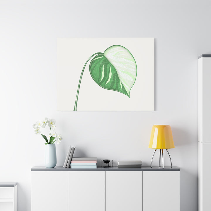 Monstera Albo Canvas Large Stretched Premium Quality Cotton Canvas Wall Art Tropical Leaf Poster Decor