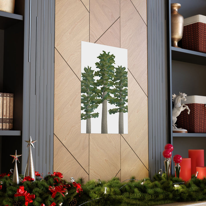 Sitka Spruce Print – Unframed Wall Art