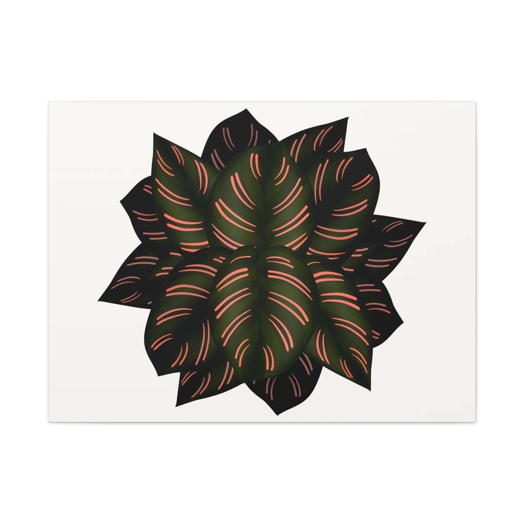 Calathea Pinstripe Canvas Botanical Wall Art Print On Stretched Cotton Canvas For Living Room Decor