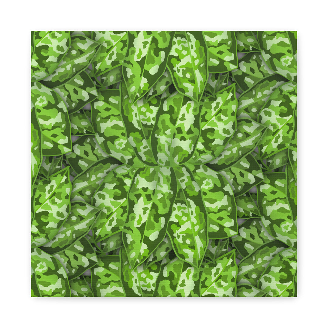 Aglaonema Pictum Canvas Wall Art Rare Plant Print Matte Finish For Modern Home Decor