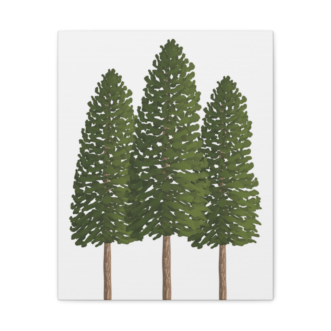 Three Ponderosa Pine Canvas Wall Art Matte Stretched Print Minimalist Forest Landscape Decor