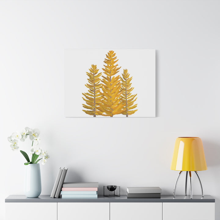 Western Larch Canvas Print – Wall Art