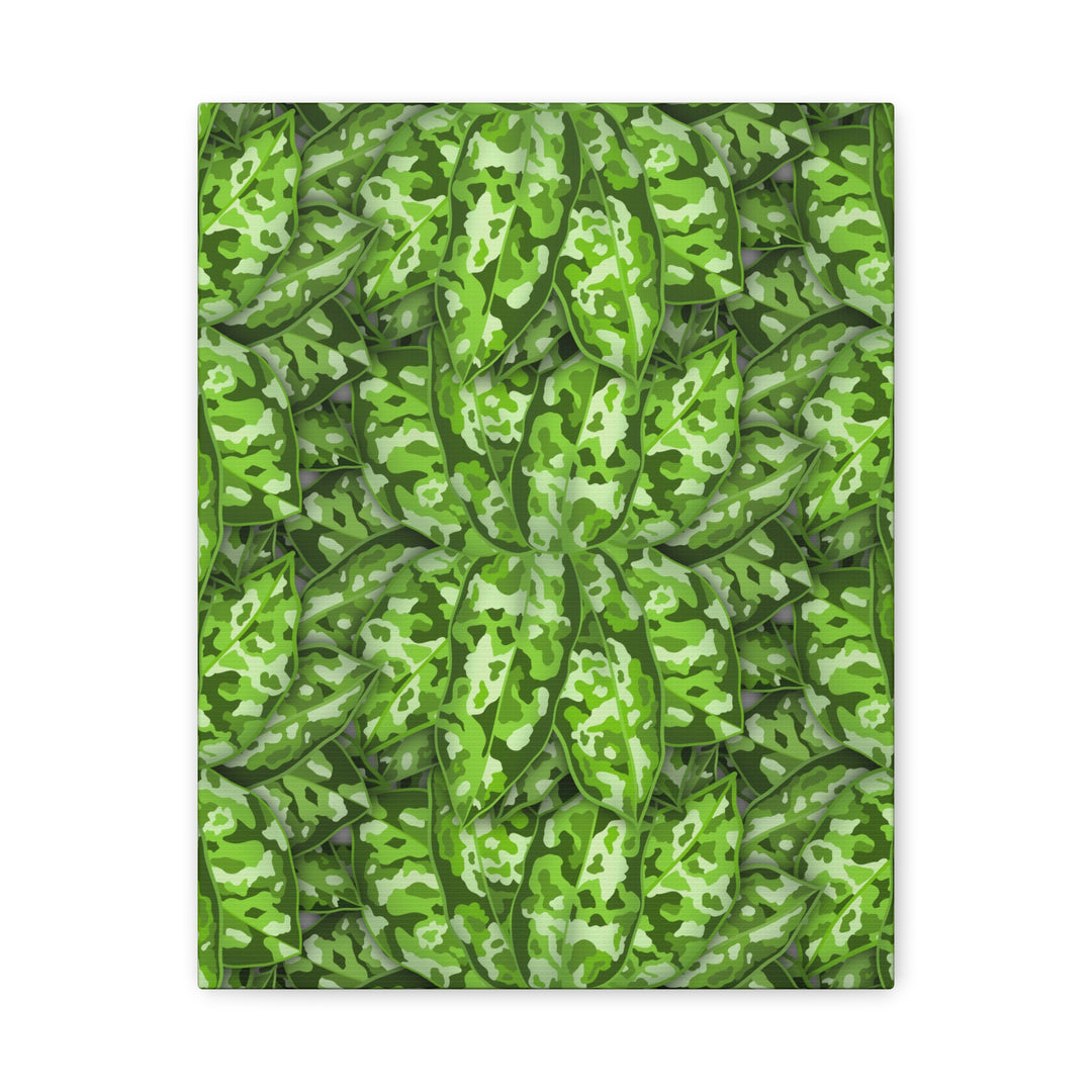 Aglaonema Pictum Canvas Wall Art Rare Plant Print Matte Finish For Modern Home Decor