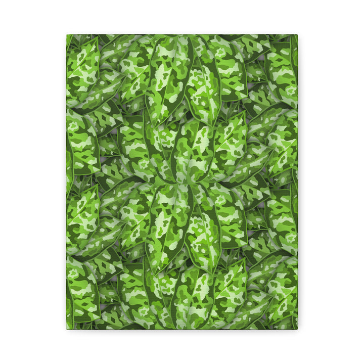 Aglaonema Pictum Canvas Wall Art Rare Plant Print Matte Finish For Modern Home Decor