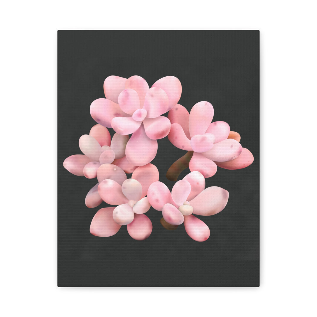 Pink Moonstone Canvas Print – Botanical Wall Art