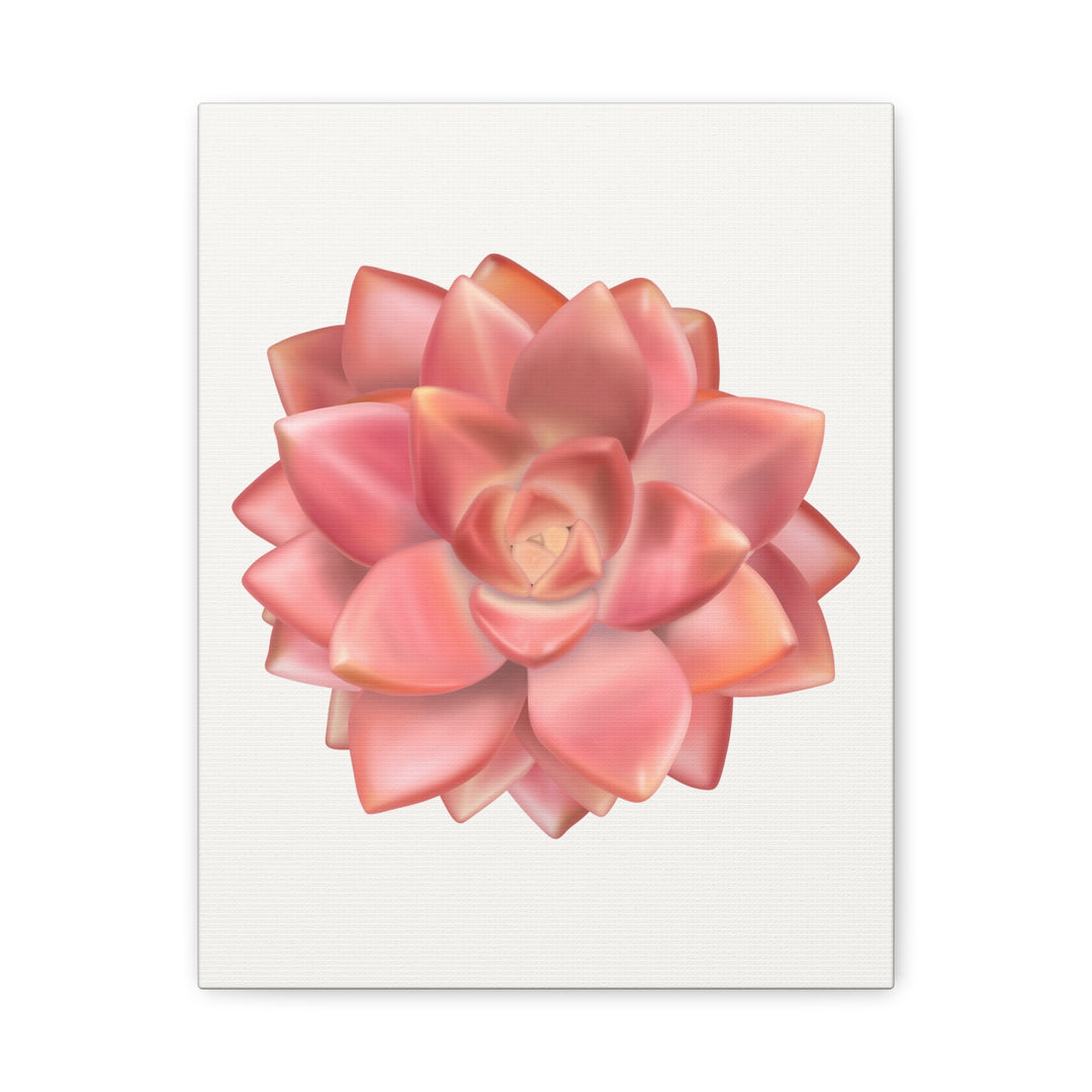 Succulent Canvas Art California Sunset Rosette Botanical Wall Art Print The Potted Pixel