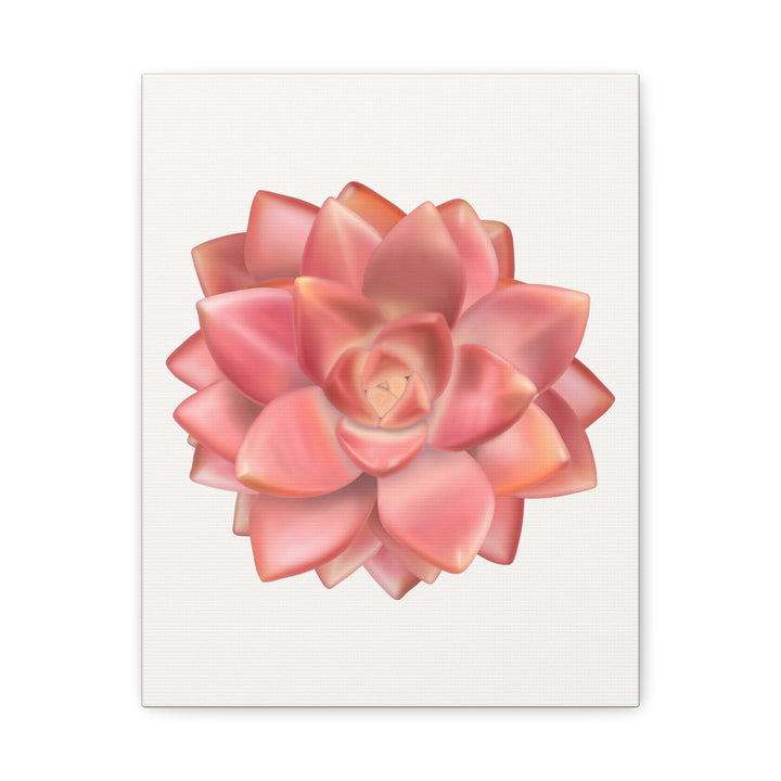 Succulent Canvas Art California Sunset Rosette Botanical Wall Art Print The Potted Pixel