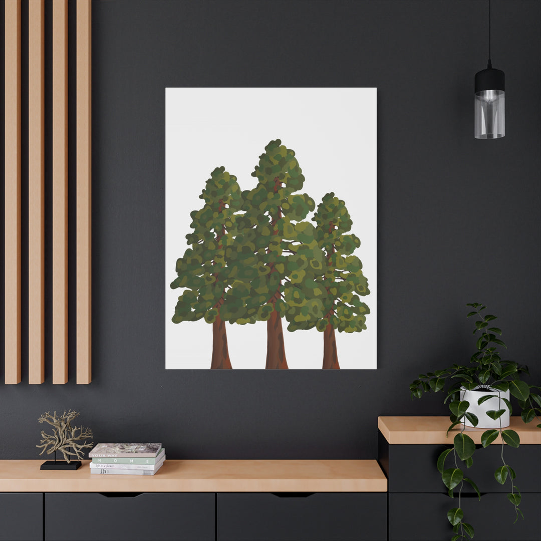 Coastal Redwoods Matte Canvas Print On 1.25 Inch Stretched Canvas For Serene Forest Wall Art In Living Rooms