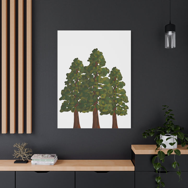 Coastal Redwoods Matte Canvas Print On 1.25 Inch Stretched Canvas For Serene Forest Wall Art In Living Rooms