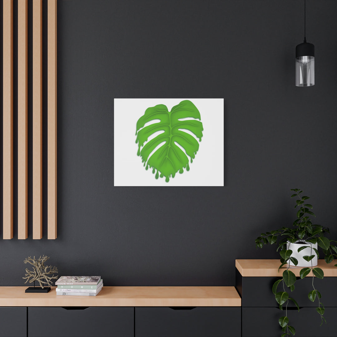 Melting Monstera Canvas Wall Art Large Botanical Print On Premium Cotton With Matte Finish For Indoor Decor