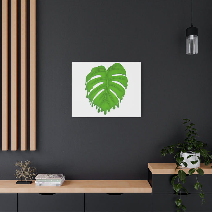 Melting Monstera Canvas Wall Art Large Botanical Print On Premium Cotton With Matte Finish For Indoor Decor