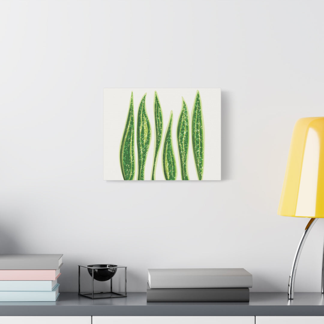 Snake Plant Canvas Print Matte 1.25 Inch Stretch Canvas Wall Art For Living Room Decor