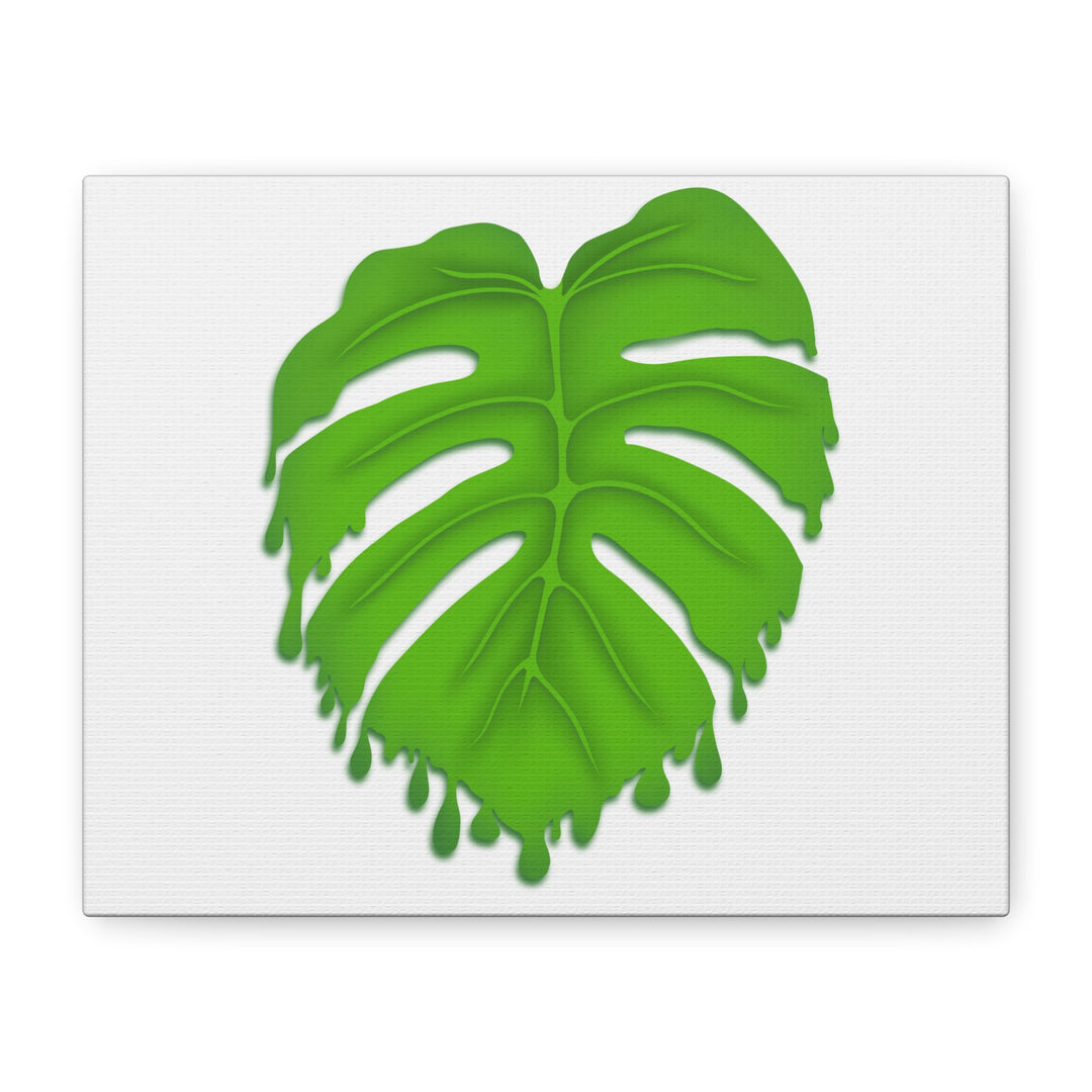 Melting Monstera Canvas Wall Art Large Botanical Print On Premium Cotton With Matte Finish For Indoor Decor
