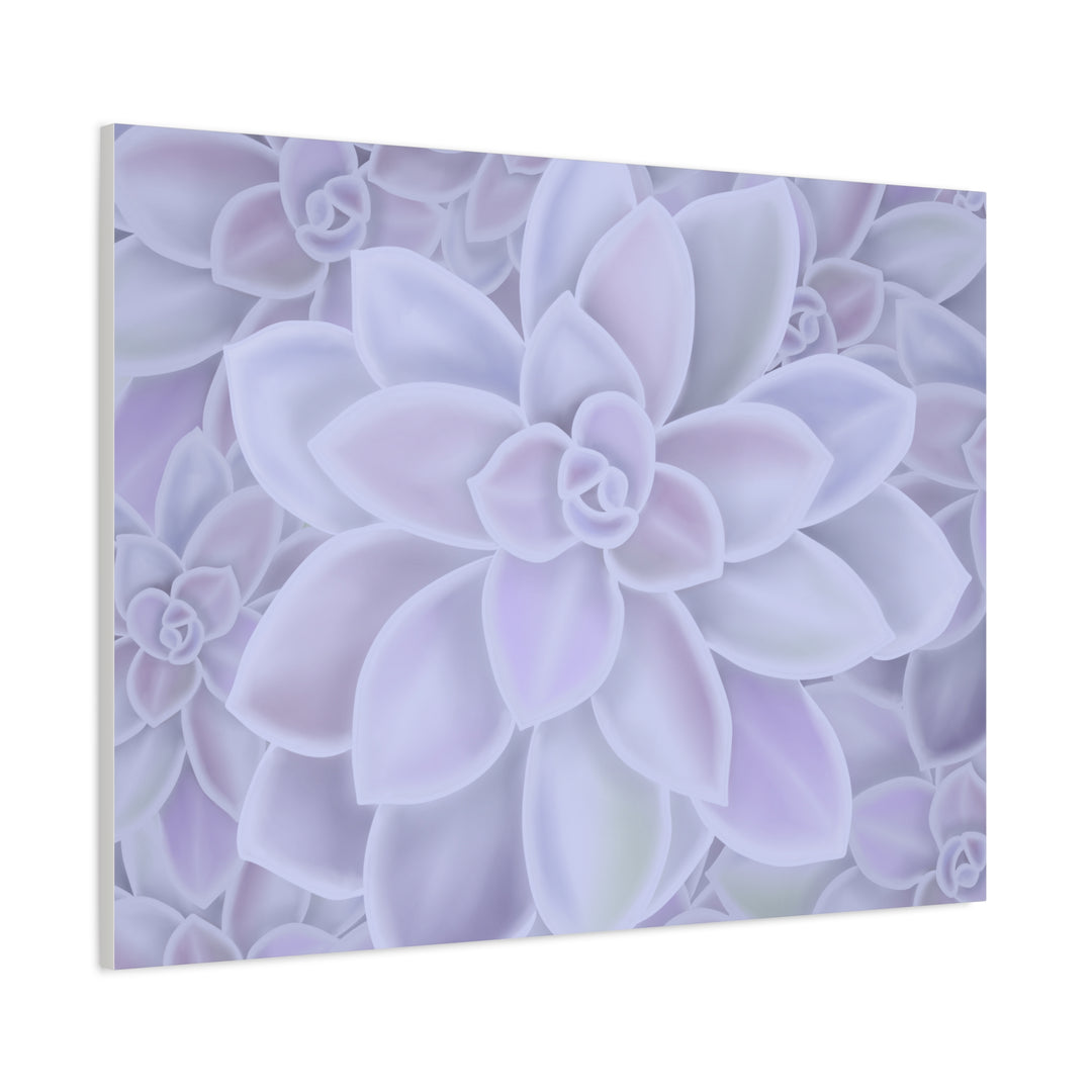 Graptopetalum Murasaki Succulent Canvas Art Print Pastel Purple Rosette Indoor Plant Decor