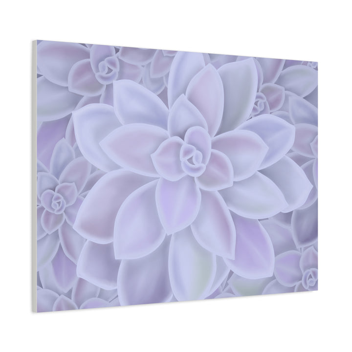 Graptopetalum Murasaki Succulent Canvas Art Print Pastel Purple Rosette Indoor Plant Decor