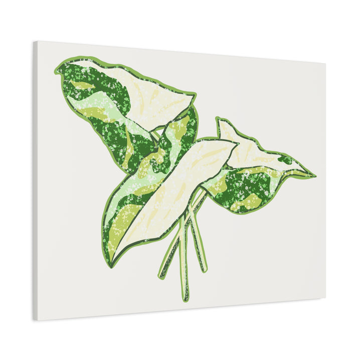 Marble Syngonium Canvas Botanical Wall Art Stretched Print On Durable Cotton Canvas Matte Finish