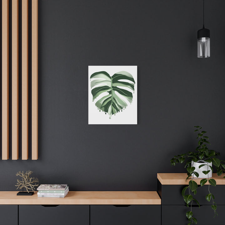 Melting Monstera Albo Canvas Large Indoor Wall Art Print Matte Finish Tropical Home Decor