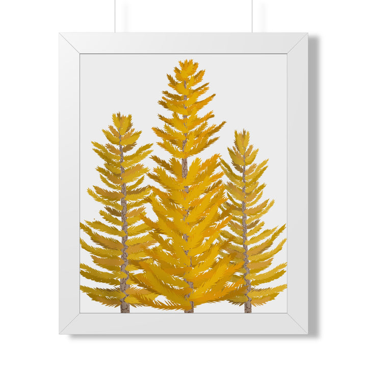 Western Larch Framed Print – Wall Art