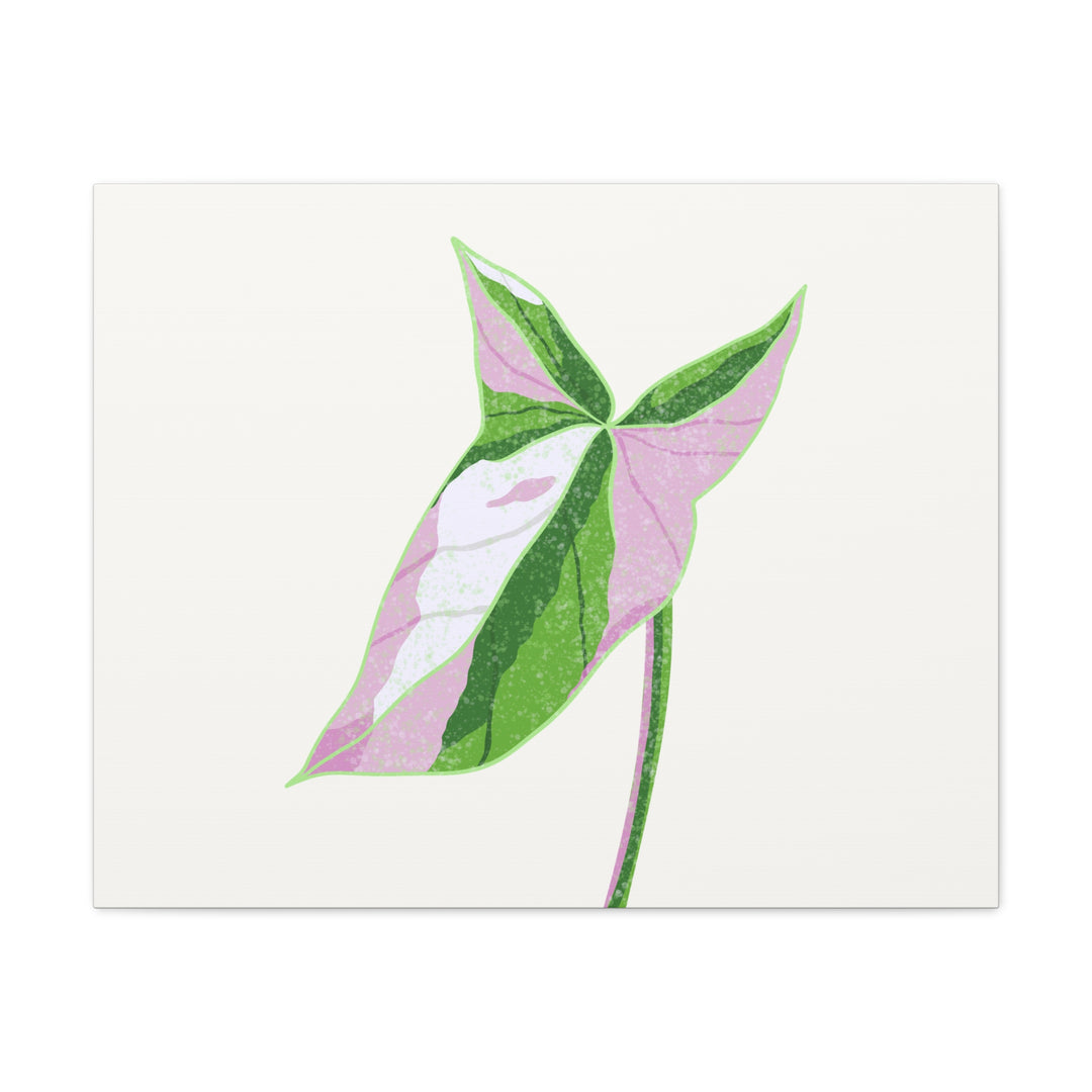 Syngonium Tricolor Canvas Print – Botanical Wall Art - The Potted Pixel
