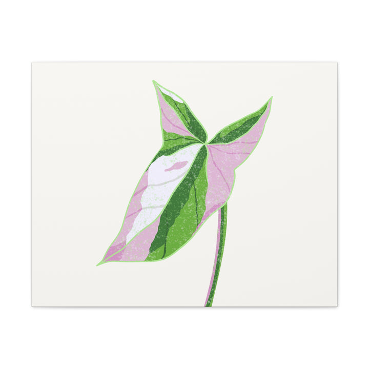 Syngonium Tricolor Canvas Print – Botanical Wall Art - The Potted Pixel