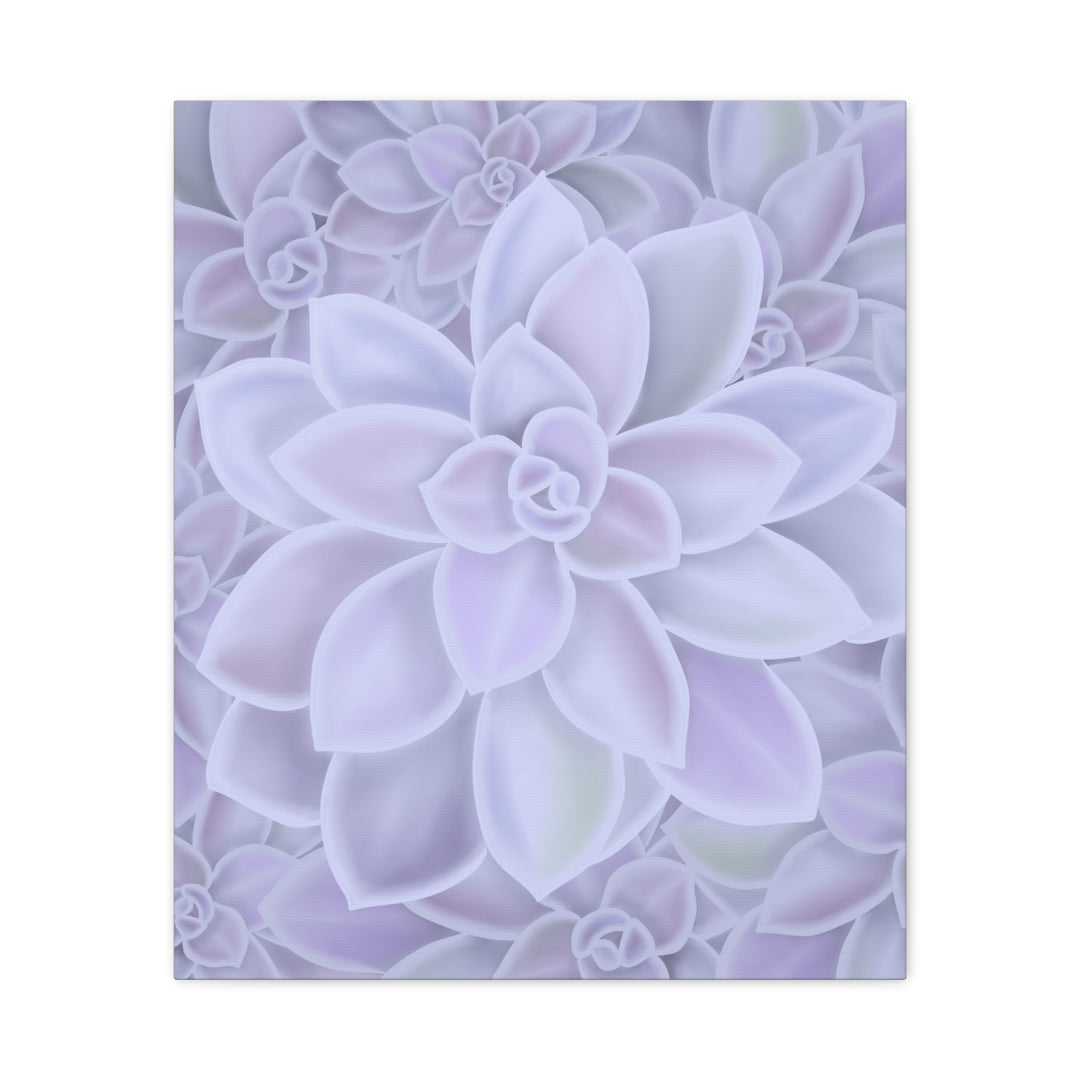 Graptopetalum Murasaki Succulent Canvas Art Print Pastel Purple Rosette Indoor Plant Decor
